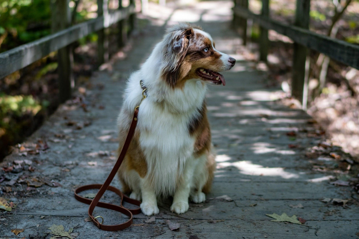 Full Leather Dog Leash - Whiskey Leatherworks