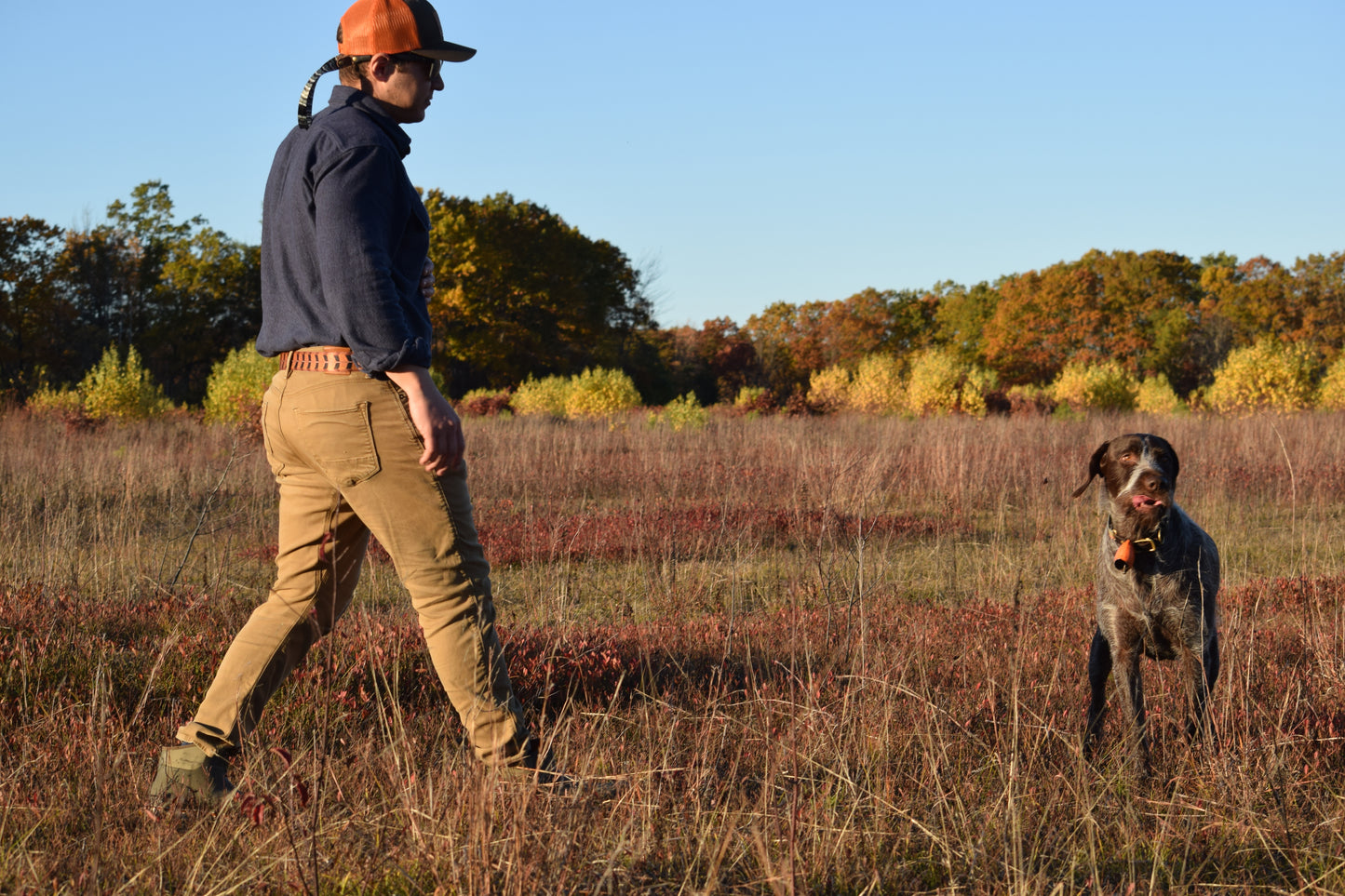 Surf & Turf Belts - Upland Series