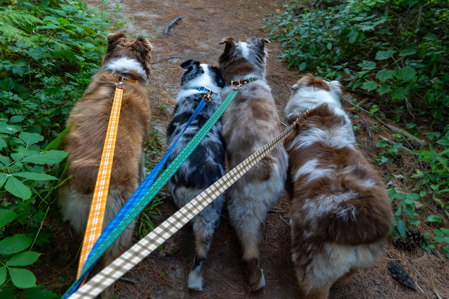 Wholesale - The Whiskey Tartan Dog Leashes - Whiskey Leatherworks