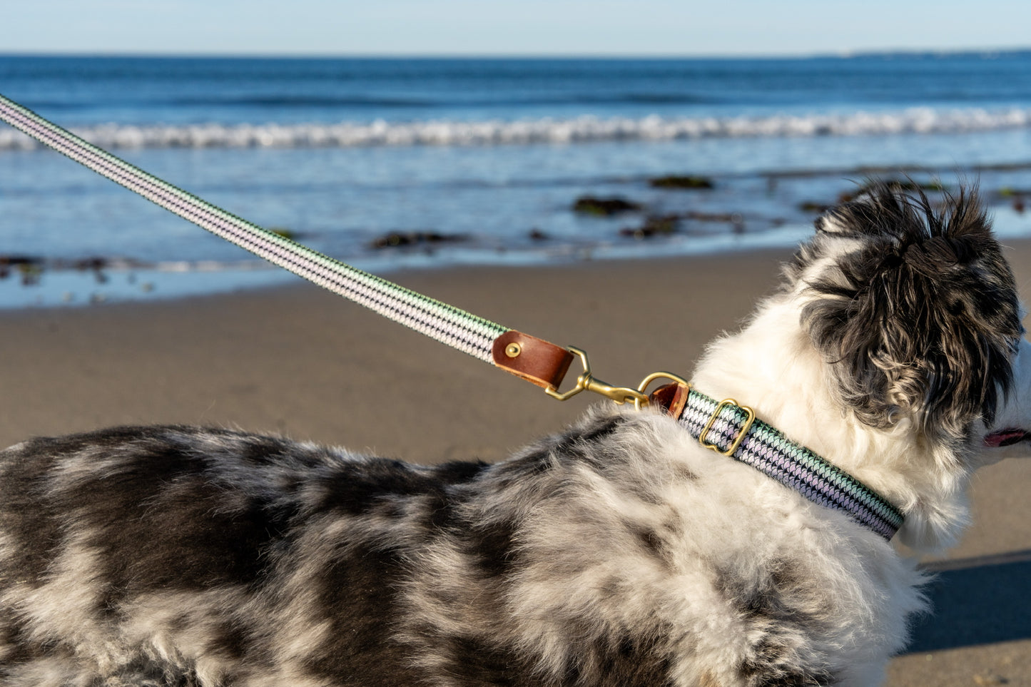 Saltwater Dog Leash