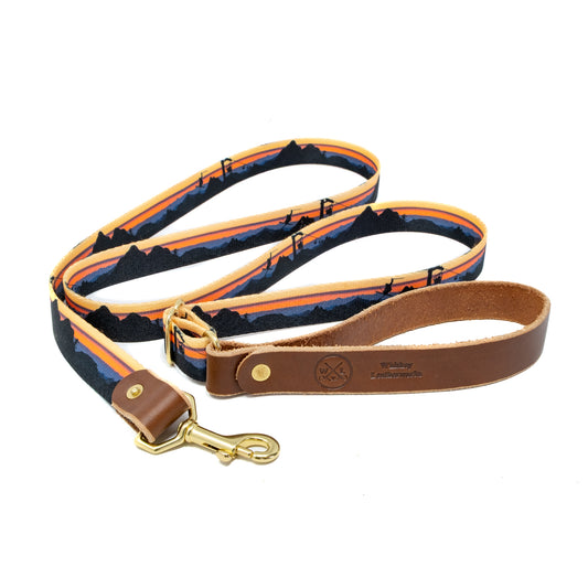 Alpine Ski Dog Leash