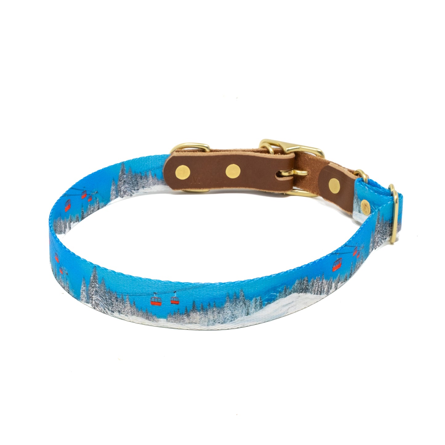 Alpine Ski Dog Collars