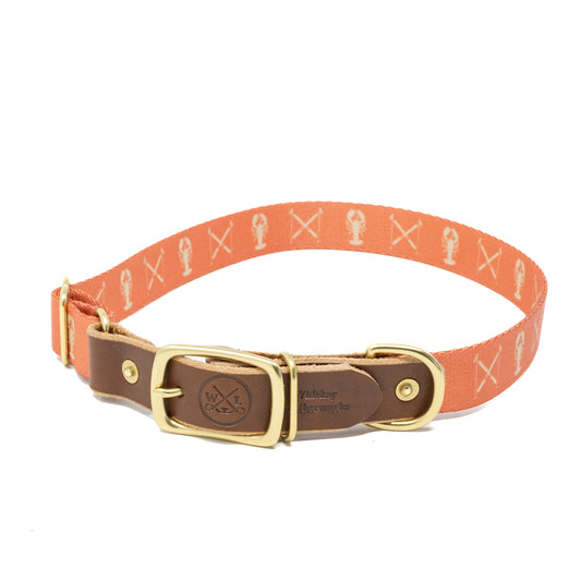Winter Fest Dog Collars