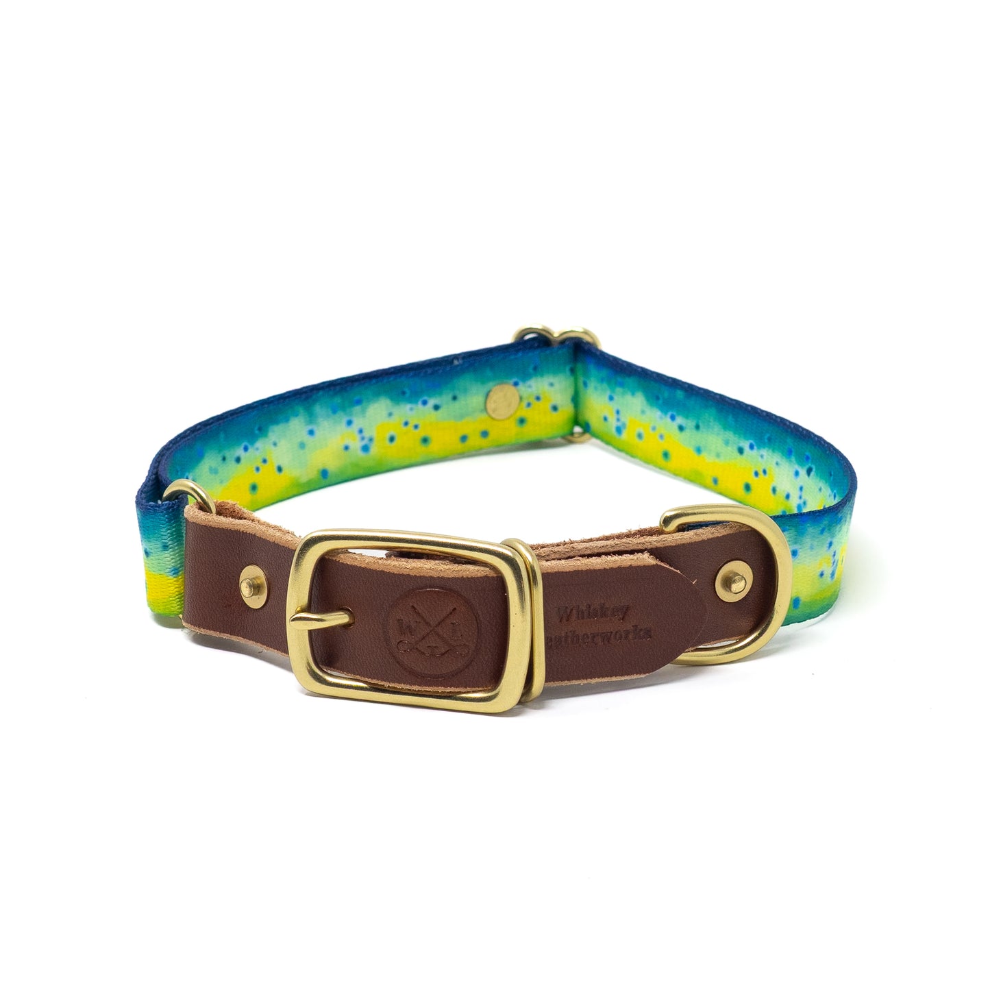 Water Dogs '25 Collars