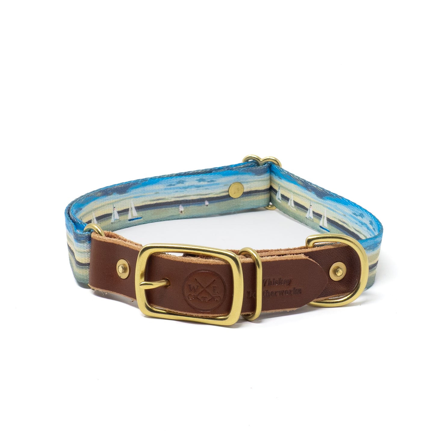 Water Dogs '25 Collars
