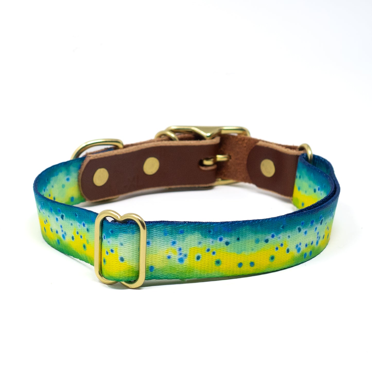 Water Dogs '25 Collars