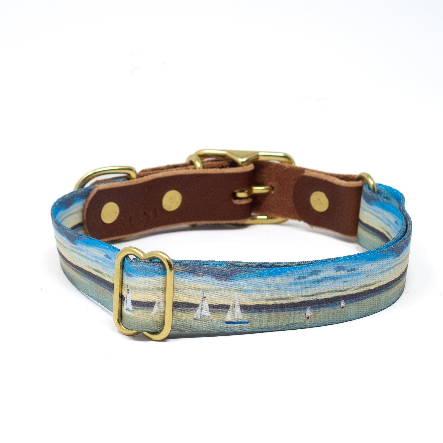Water Dogs '25 Collars