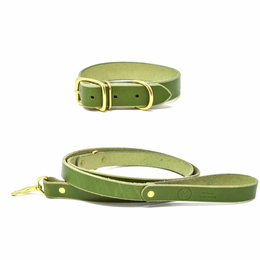 Full Leather Dog Bundle