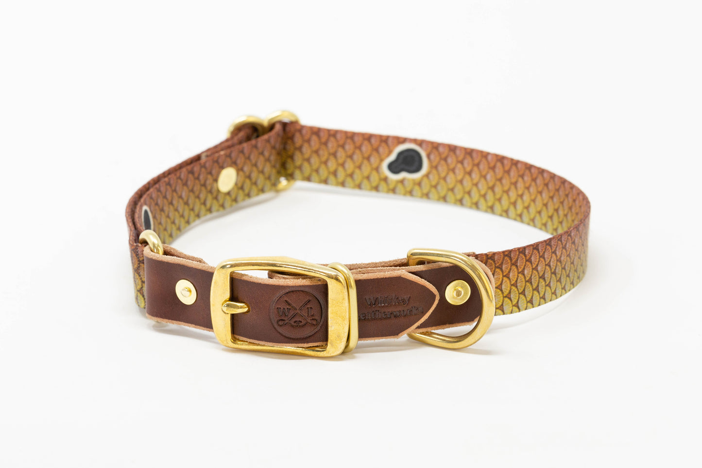 Saltwater Dog Collars
