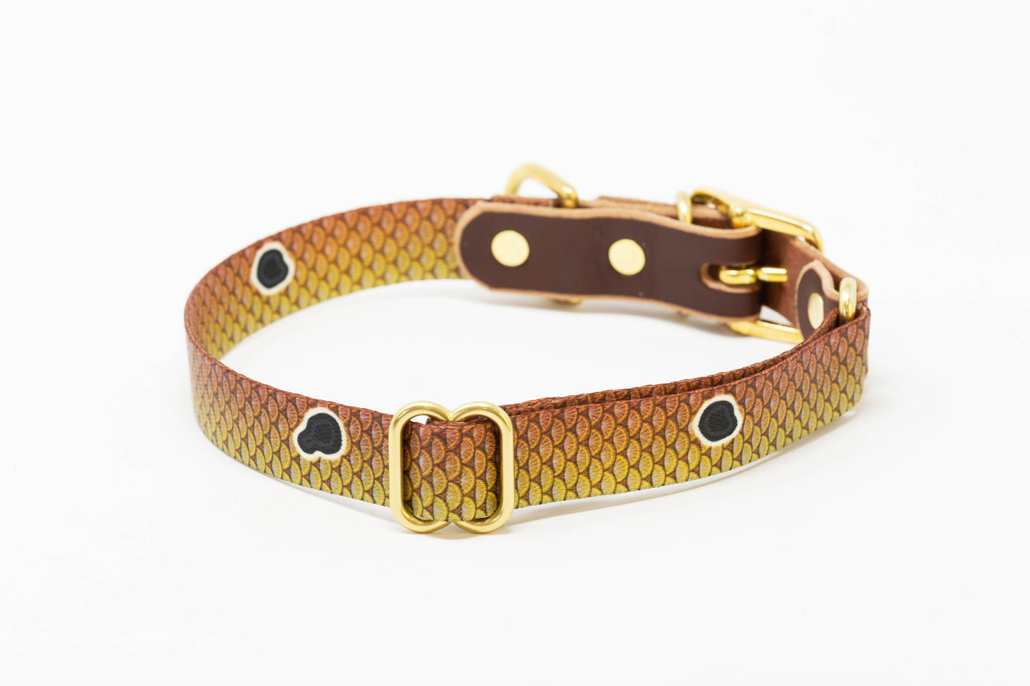 Saltwater Dog Collars
