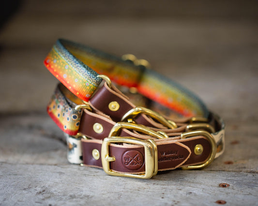 Fish & Upland Dog Collars - Whiskey Leatherworks