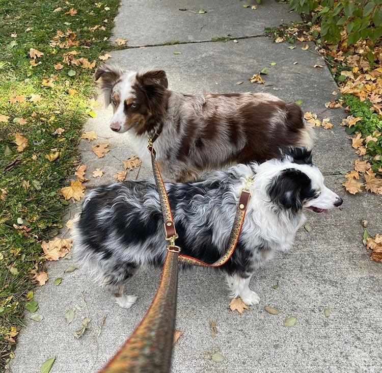 The Whiskey Double Dog Leash - Whiskey Leatherworks