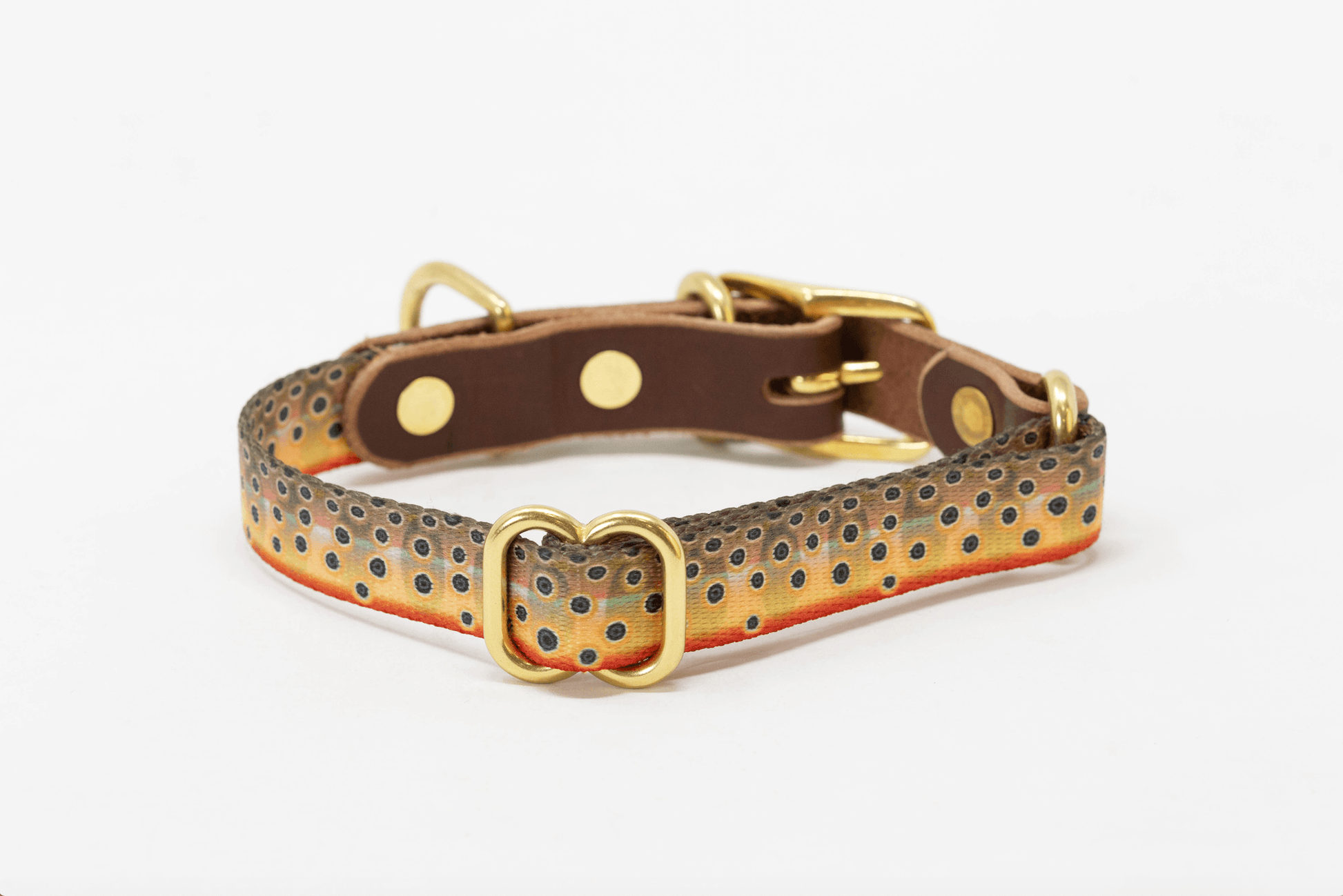Fish & Upland Dog Collars - Whiskey Leatherworks