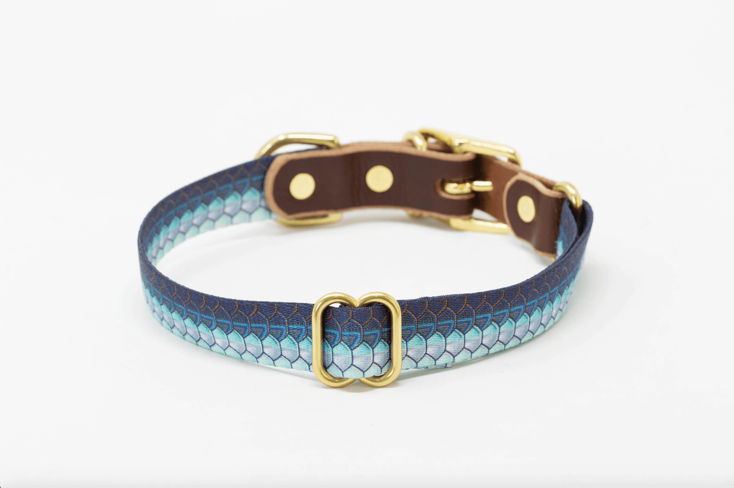 Fish & Upland Dog Collars - Whiskey Leatherworks