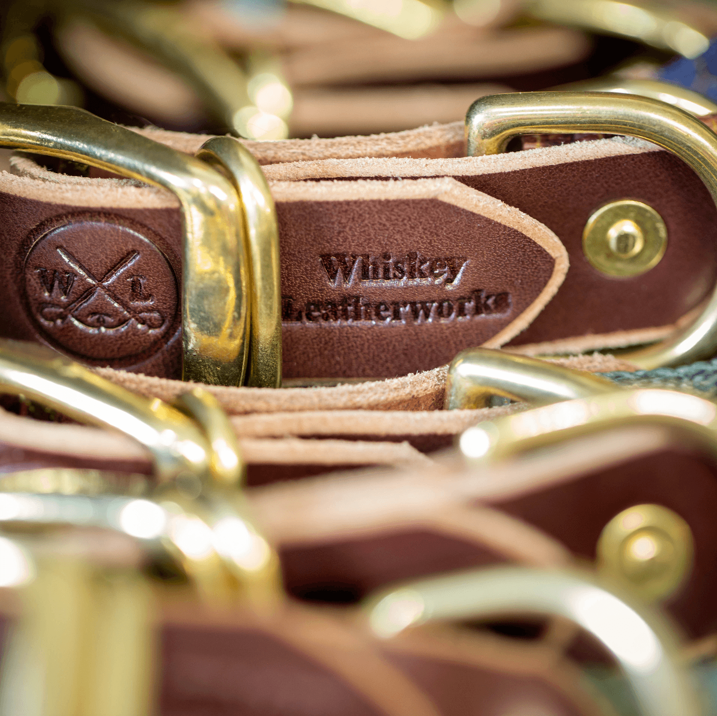 Fish & Upland Dog Collars - Whiskey Leatherworks