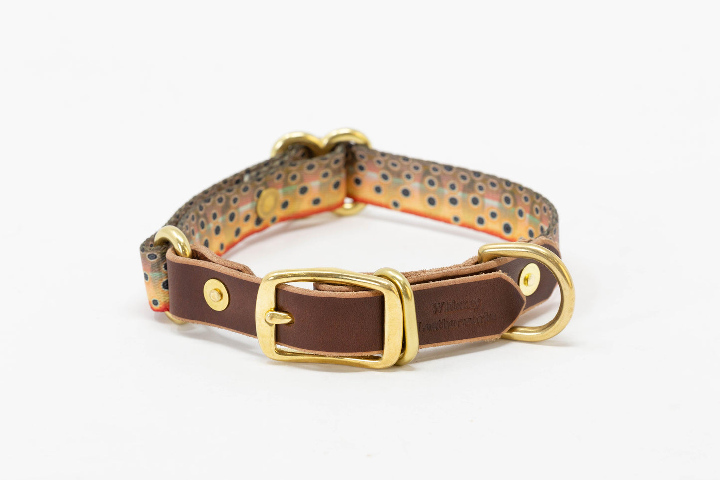 Fish & Upland Dog Collars - Whiskey Leatherworks