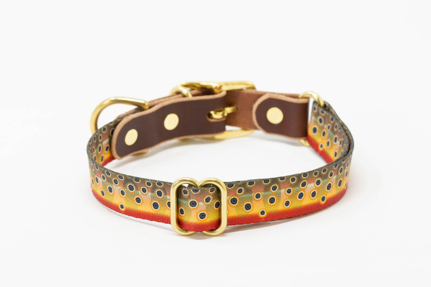 Fish & Upland Dog Collars - Whiskey Leatherworks