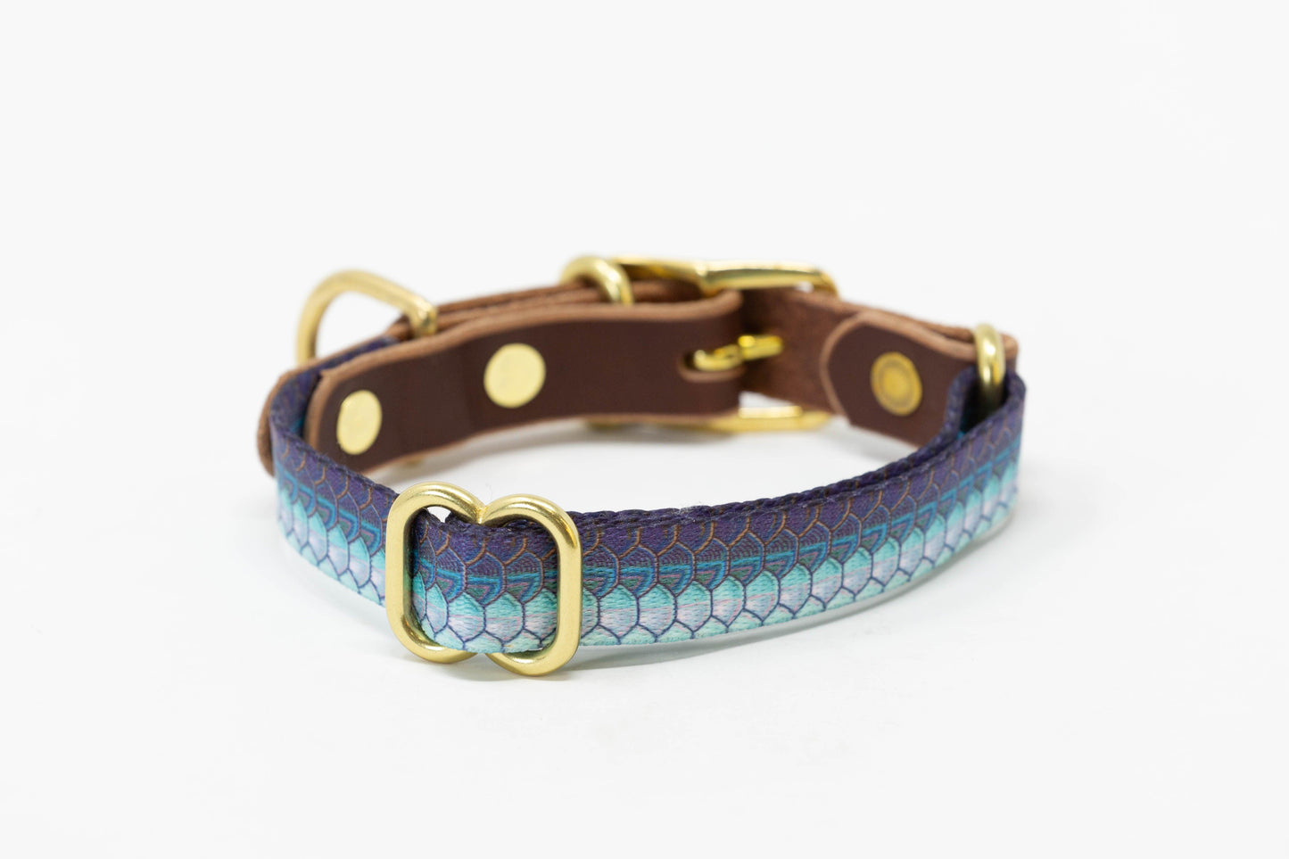 Fish & Upland Dog Collars - Whiskey Leatherworks