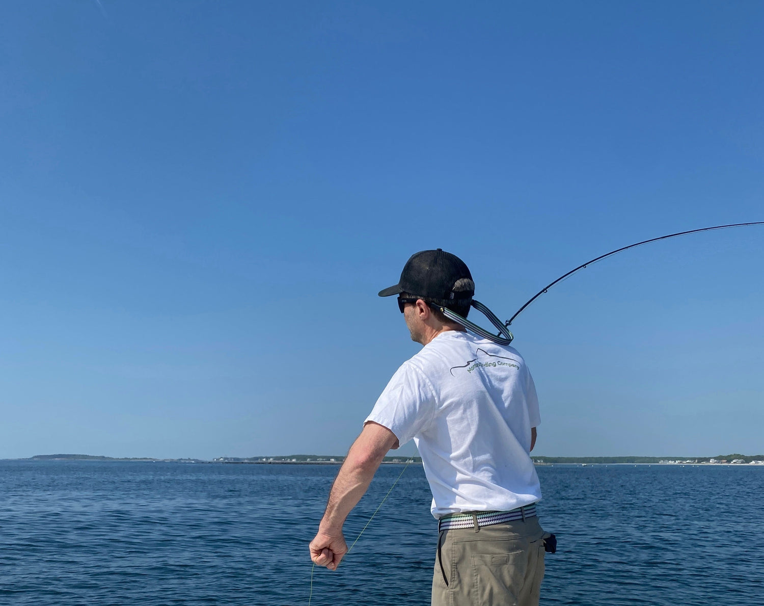 Saltwater Collection