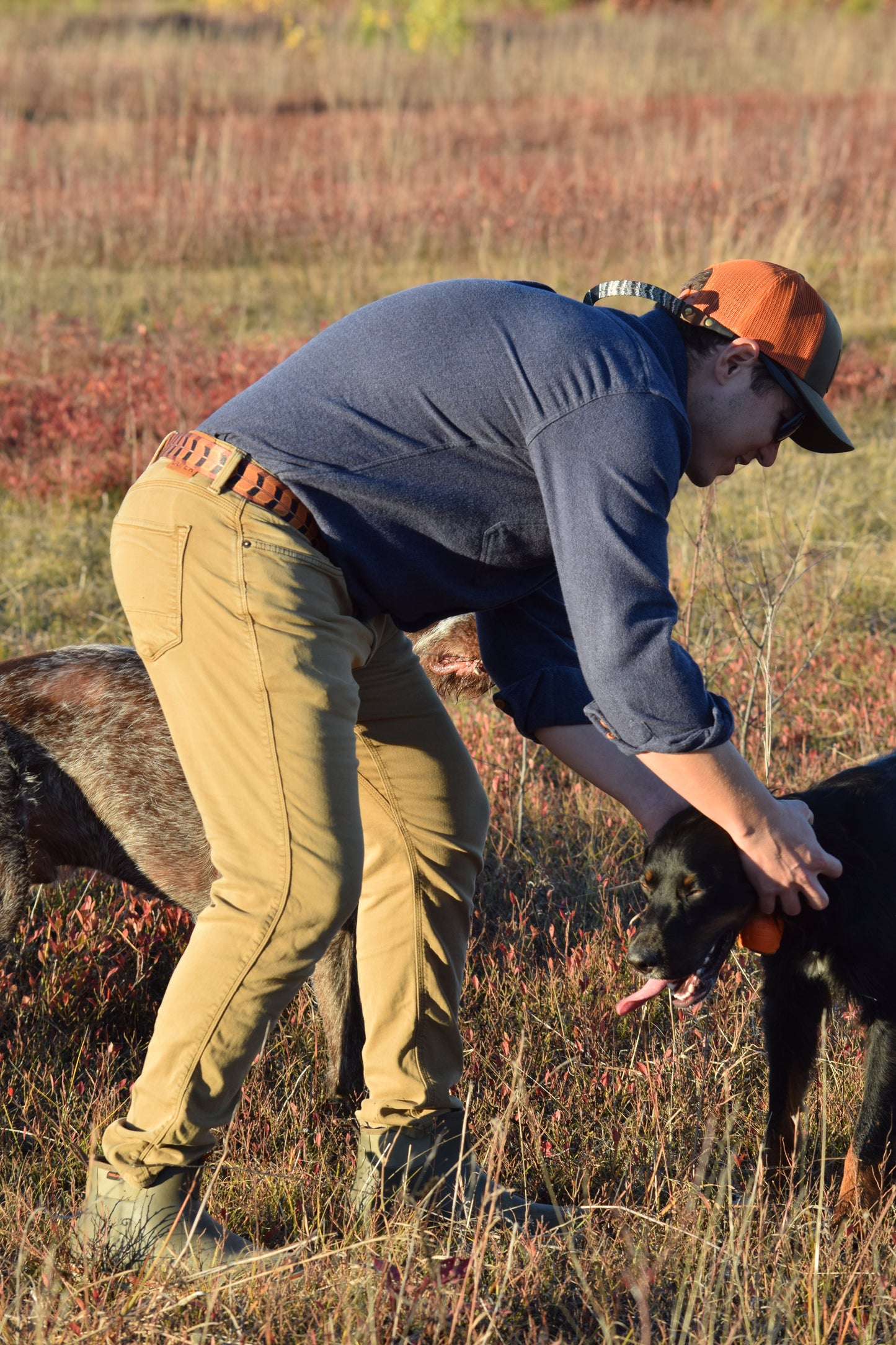 Surf & Turf Belts - Upland Series