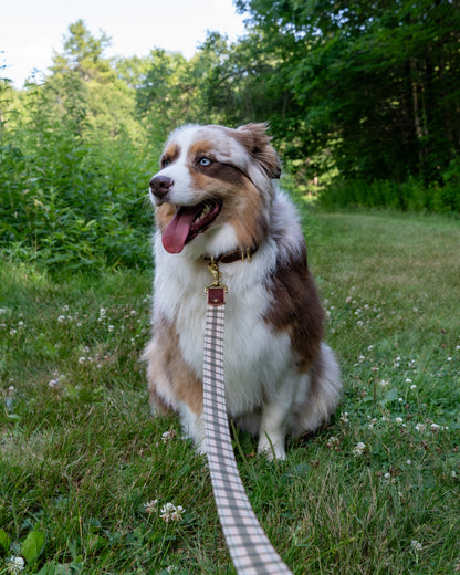 The Whiskey Tartan Dog Leashes