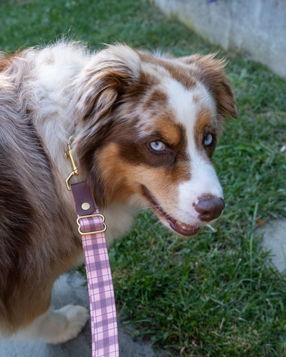 The Whiskey Tartan Dog Leashes