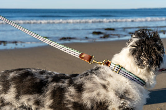 Saltwater Dog Leash