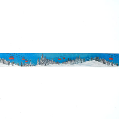 The Performance Belt - Winter Series