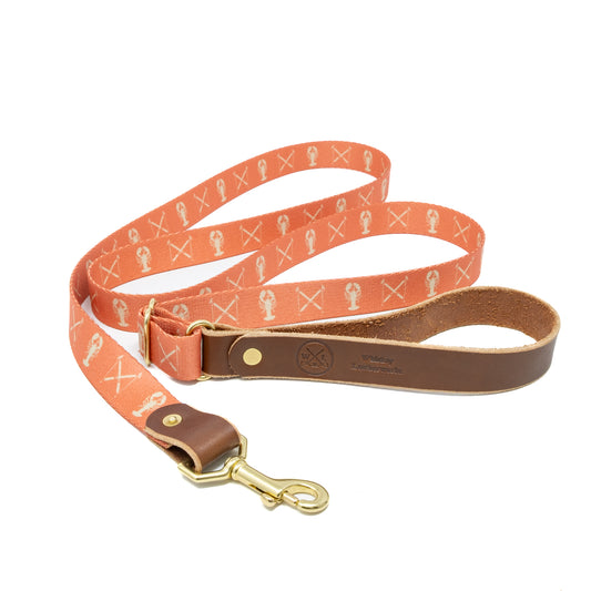 Winter Series Dog Leash