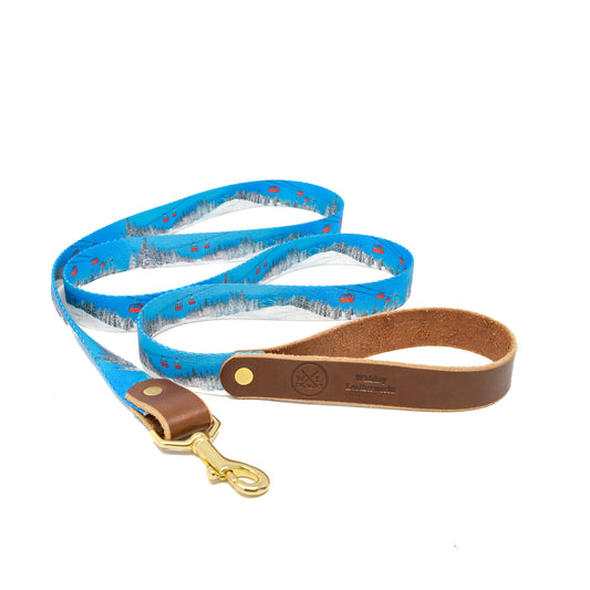 Alpine Ski Dog Leash