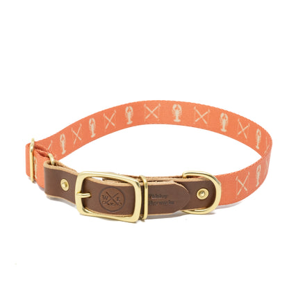 Winter Series Dog Collars