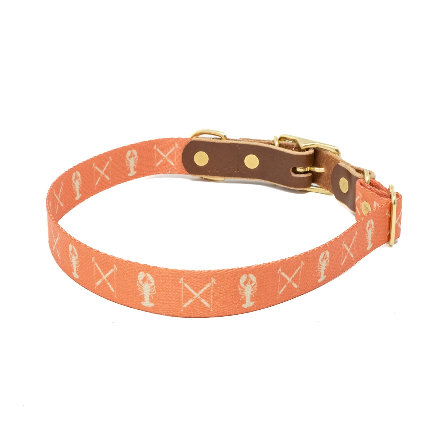 Winter Series Dog Collars