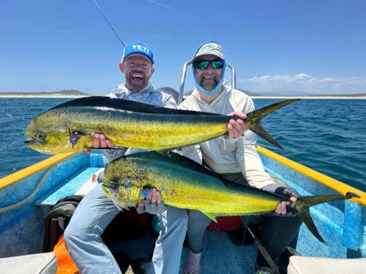 The Surf & Turf Belt – Mahi Mahi Edition