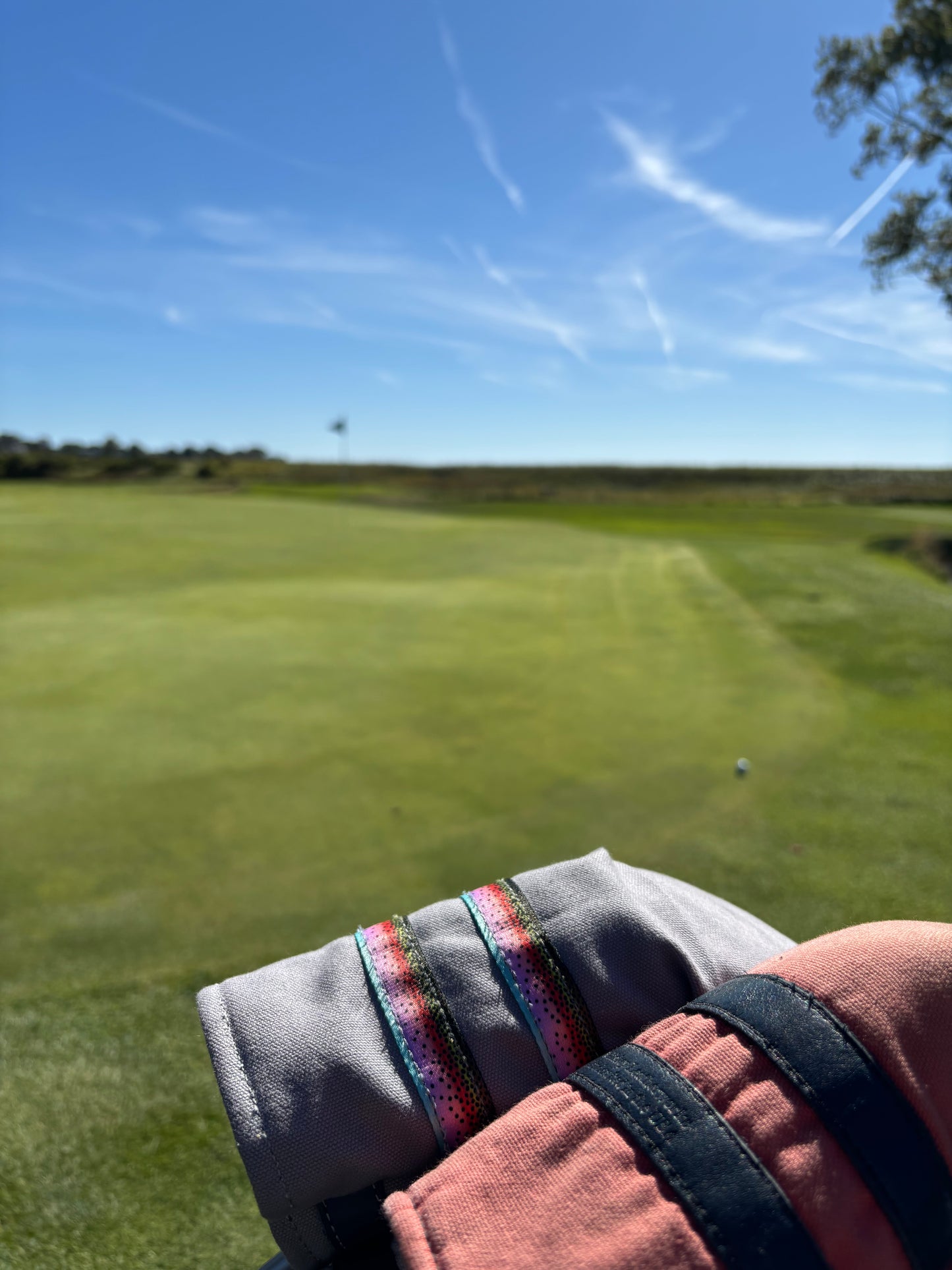 The Trout Headcover Series - Fairway