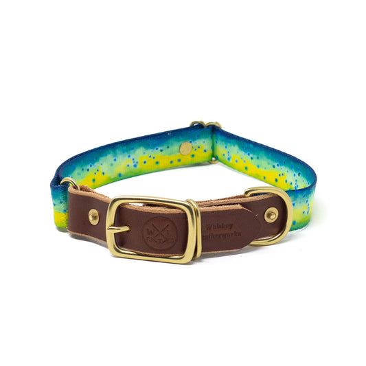 Water Dogs '25 Collars