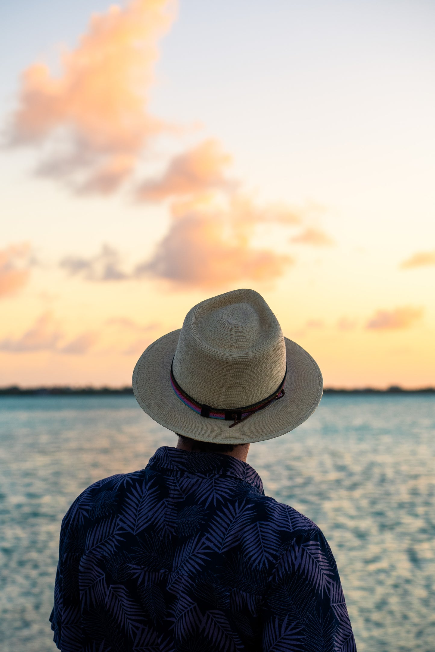 The Fish & Upland Print Hatbands