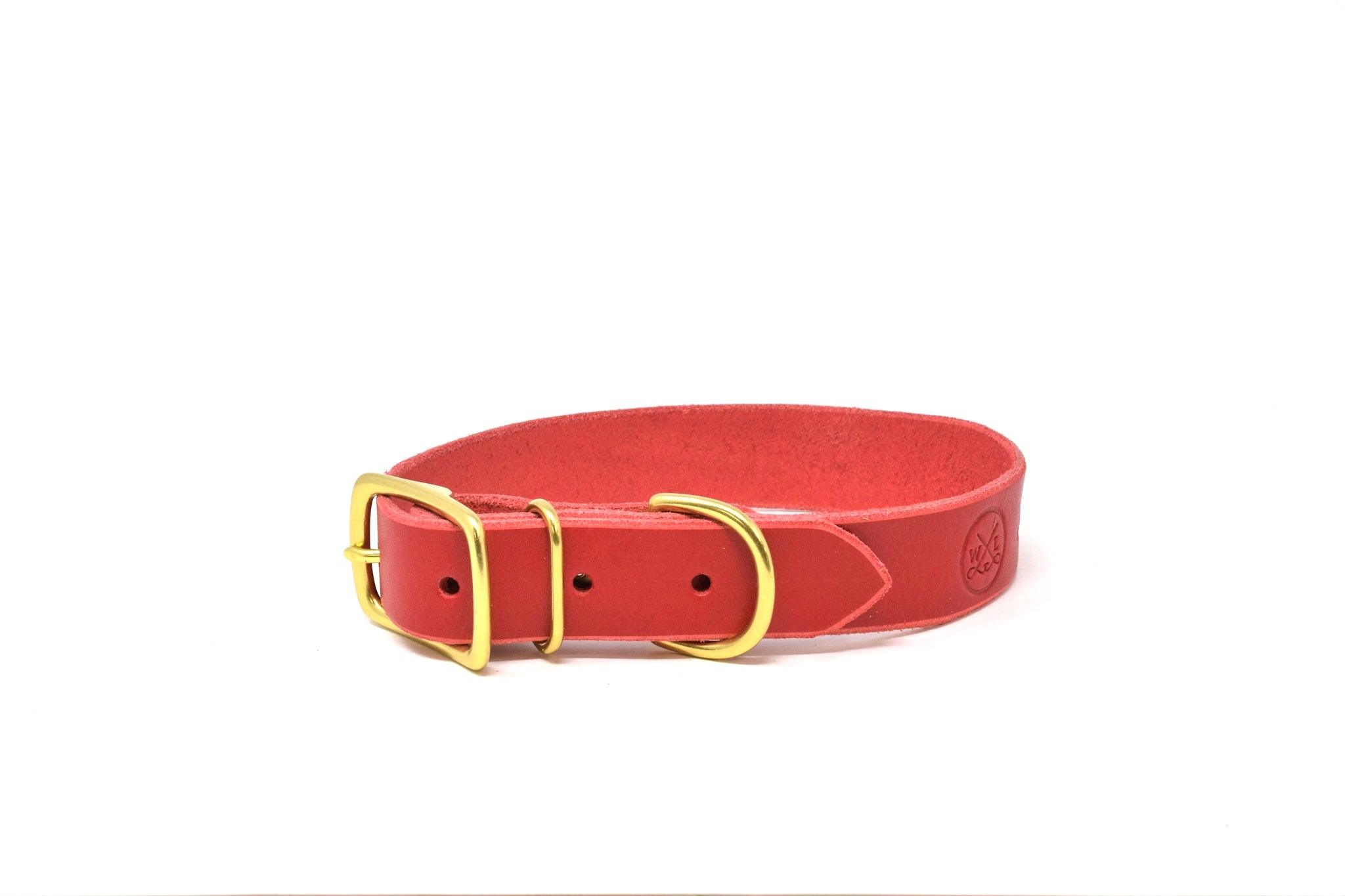 Leather and brass dog collars best sale