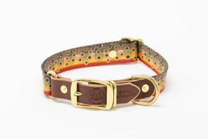 Adjustable Webbing Dog Collars