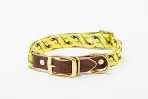 Adjustable Webbing Dog Collars